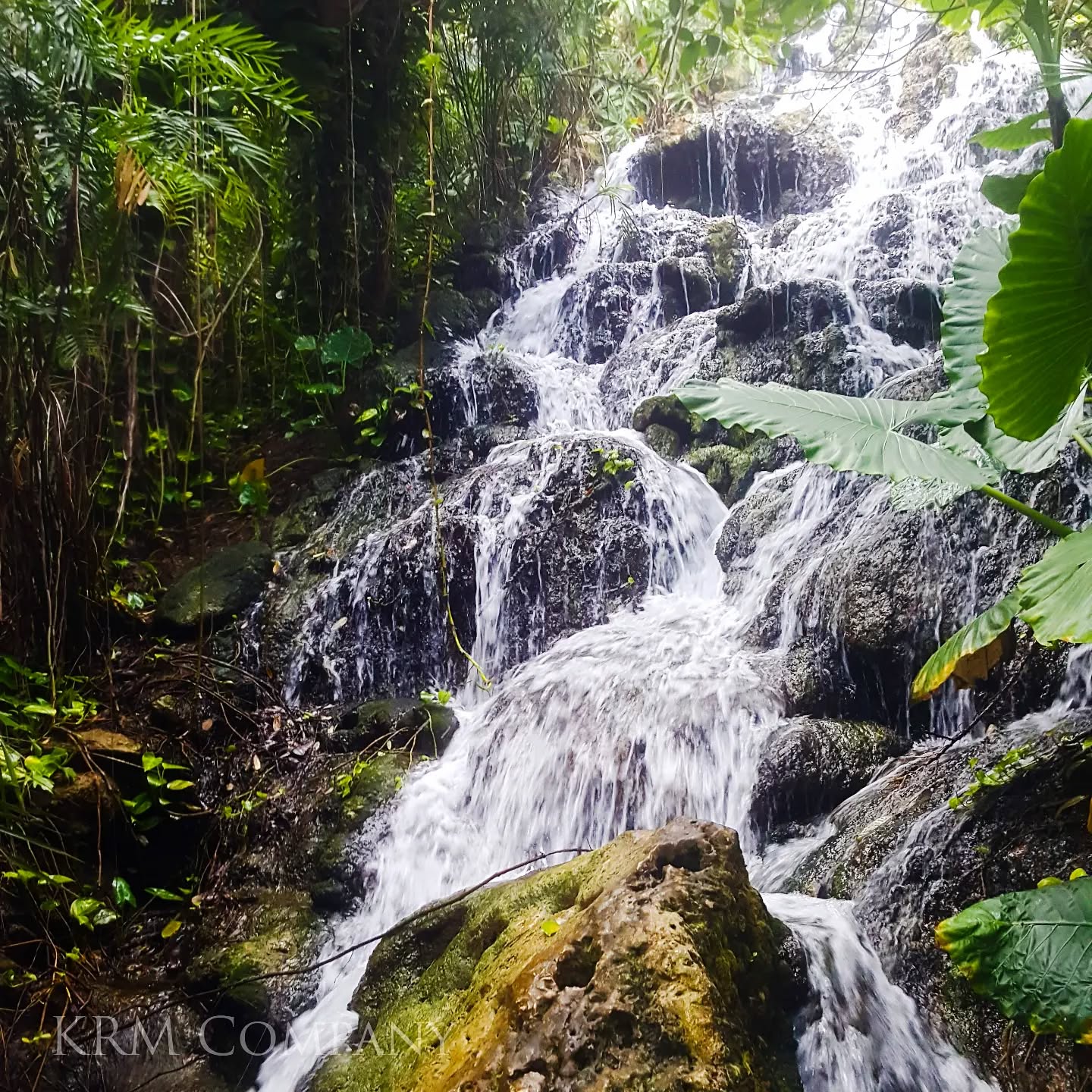 Tiered waterfall running through dense tropical greenery