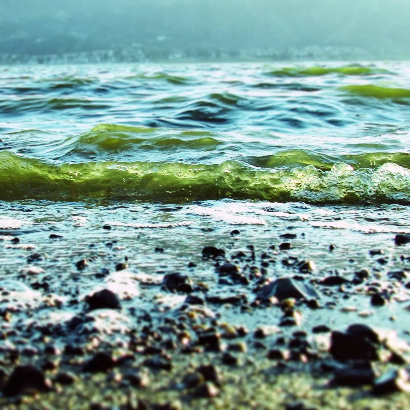 Green-lit wave curling over a pebbled shoreline
